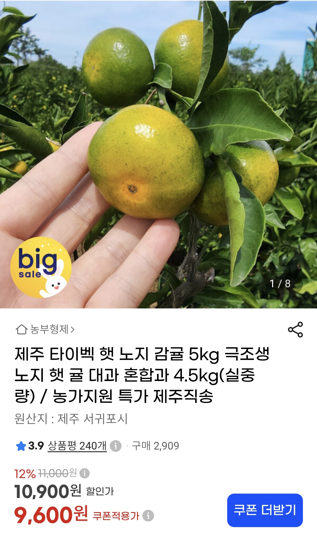제주 타이벡 햇 노지 감귤 대과 4.5kg( 9,600원/무료)