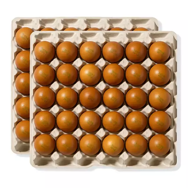 HACCP 구운계란 대란 60구 (15,750원/무료)