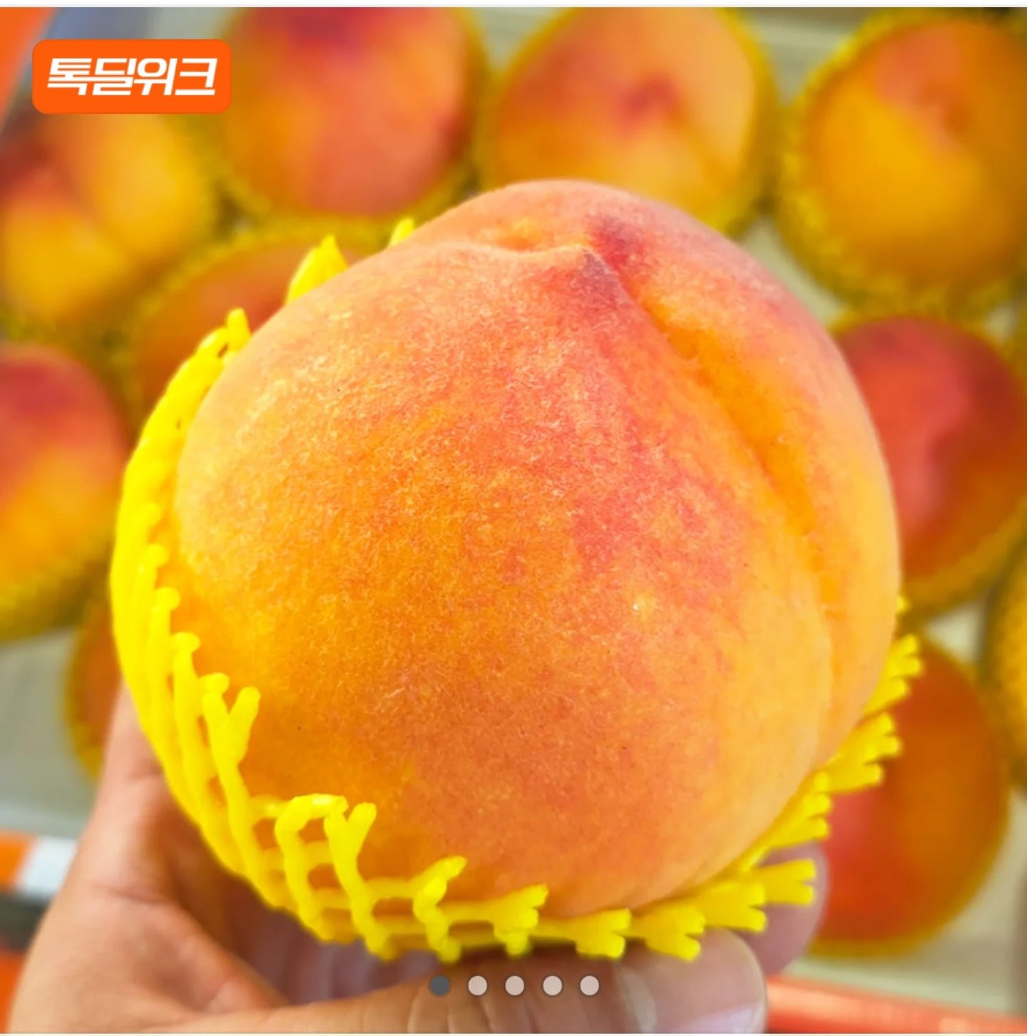 의성 햇살어린 황도복숭아 4kg 로얄과 15-18과(22,960원/무료)