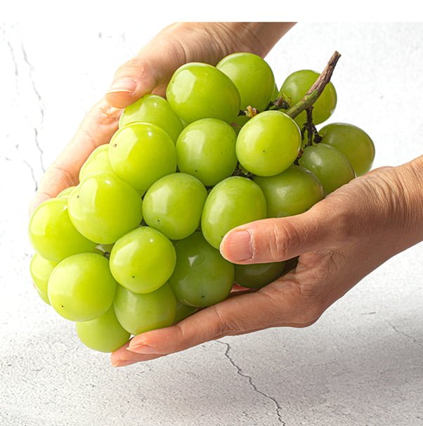 산지직송 고당도 샤인머스캣 2kg 3~4수(11880/무배)