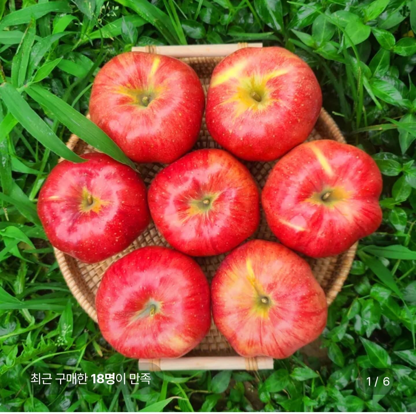 홍로 사과 3kg 중대과 가정용 (14,090원/무료)