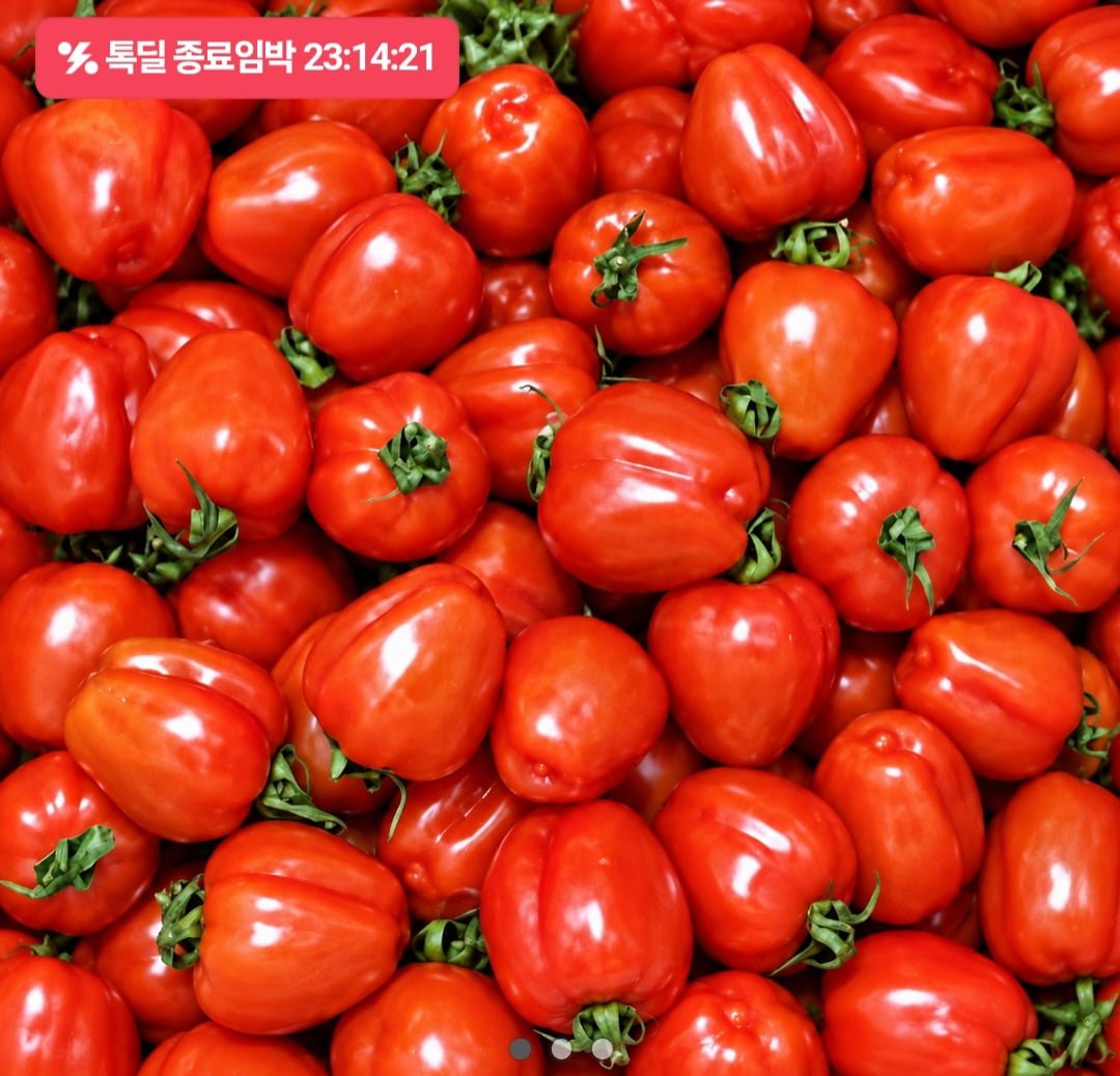 루비벨 방울 토마토 1kg (7,900원 / 무료)