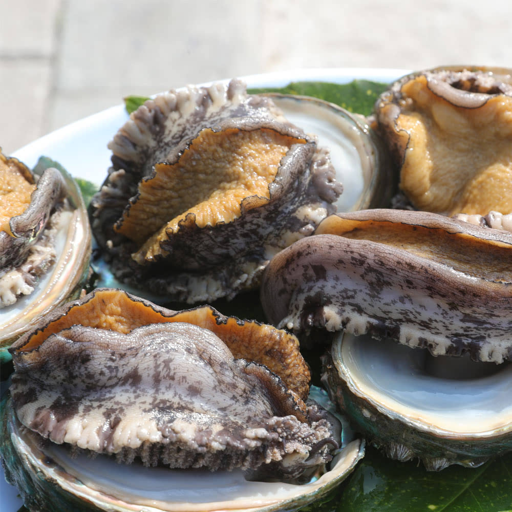 완도활전복 1kg (9~11미) (19,920원/무료)