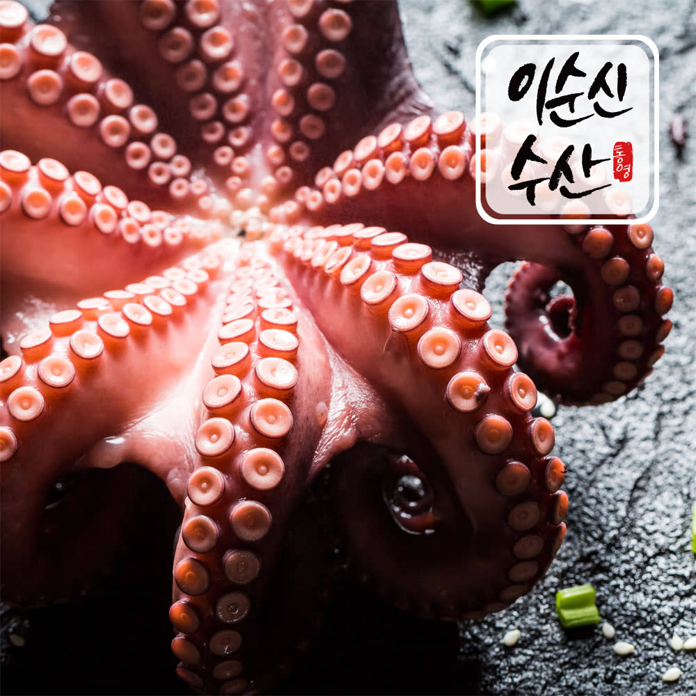 돌문어 1kg 2마리 (13,740원/무료)