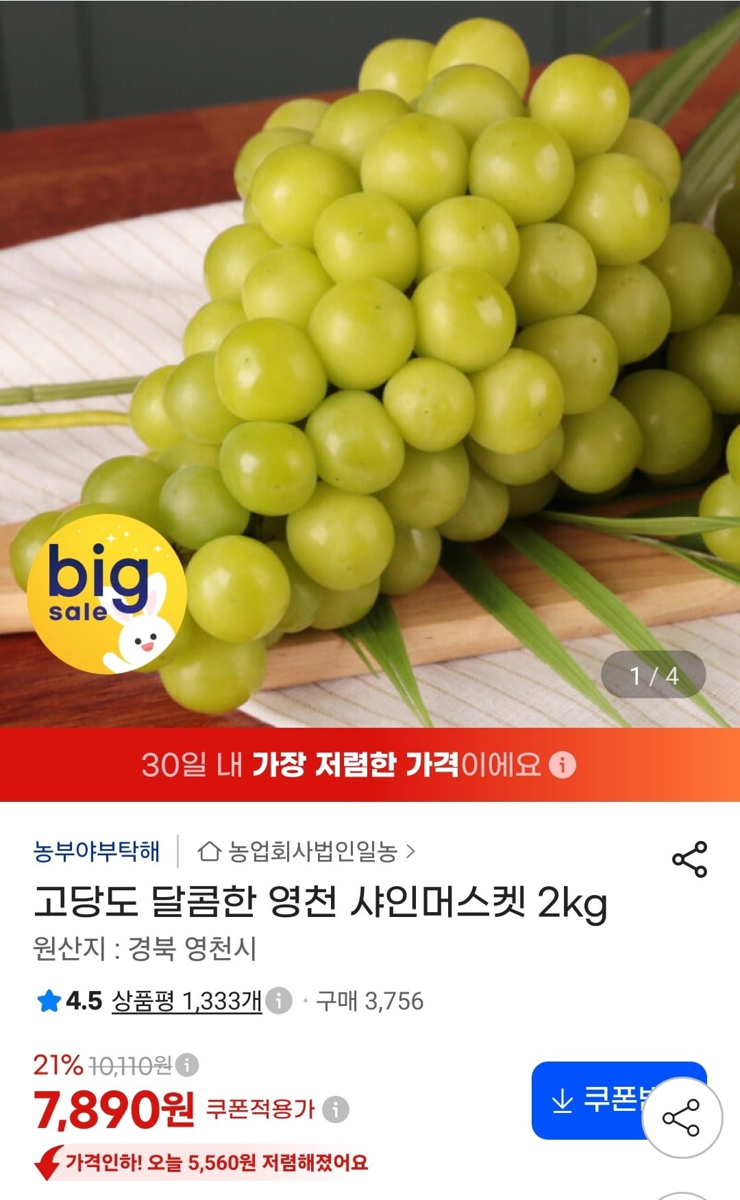 고당도 영천 샤인머스켓 2kg (7,890원/무료)
