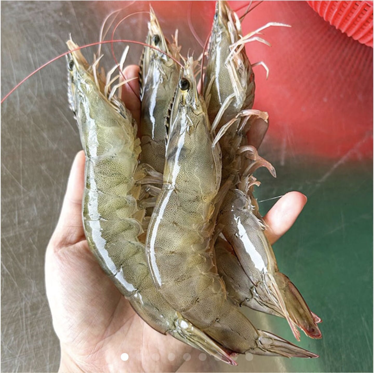 국내산 생물 흰다리새우1kg(36미내외) (17,940원/무료)