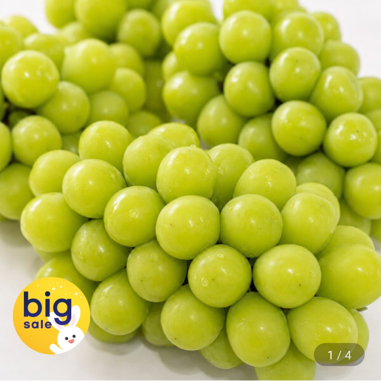 김천 16brix 하우스 샤인머스켓 2kg 4-5수(8,800원/무료)