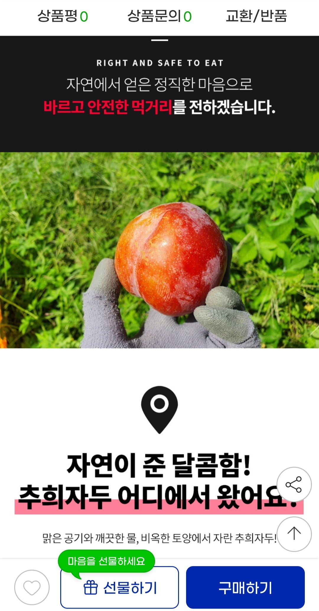 추희자두 대과 3kg 100g급 30개 내외 (17,480원/무배)
